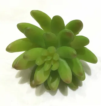 (8pcs/lot) ירוק צמחים מלאכותיים docoration הסיטוניים פלסטיק עסיסי מזויף צמחים diy מלאכה מלאכותית בשרניים